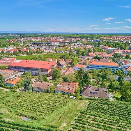 Apartment Weinbergnest *